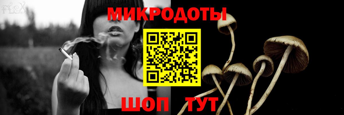 Усть-Джегута  Псилоцибиновые грибы Psilocybine cubensis  Вход с VPN  Галлюциногенные грибы Psilocybe 